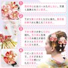 Hair Ornaments Set of 4 for Women, Kimono, Yukata, Hakama,