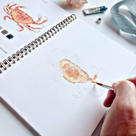 Watercolor art set suitable for beginners practice set (including exercise book), 12 color paint (including brushes) suitable for children and teenagers art training sketch book (A-birds)