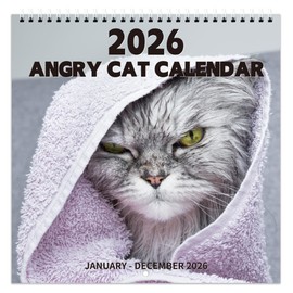 2026 Calendar - 2026 Wall Calendar, Pi-d-off Cats Calendar 2026, Jan. 2026 - Dec. 2026, 9.64" x 19.3" 2026 wall Calendar (open), Funny Calendar, Calendars with Unruled Blocks, Everyday Holidays - Funny Cats