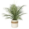 Areca Palm Fronds in Ceramic Planter with Braided Detail
