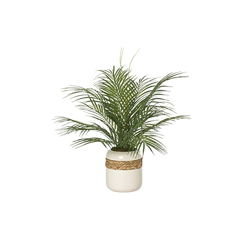 Areca Palm Fronds in Ceramic Planter with Braided Detail