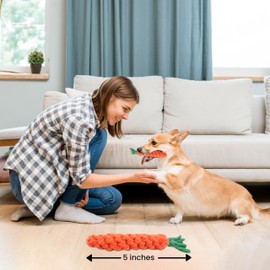 Vaulted Skulls & Co Carrot Dog Toy Small 5" | Carrot Shaped Dog Toy | Teething Carrot Dog Toy | Small Dog Carrot Toy | Biting Carrot Dog Toy | 5 Inches
