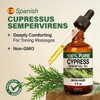 100% Pure Cypress Oil - 4 Fl Oz Cypress Essential