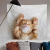 Wall Decor Rolling Cheese Cat Fabric Partition Poster Small 100cm x 75cm
