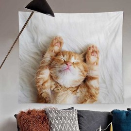 Wall Decor Rolling Cheese Cat Fabric Partition Poster Small 100cm x 75cm