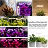 LED Plant Grow Light 5 Dimmable Modes 4 Head Timing