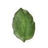 Excelsa Foliage Ceramic Dinner Plate