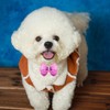SHEHARUHI 24PCS Cute Dog Hair Bows Small Puppy Hair Accessories
