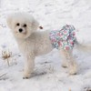CuteBone Female Dog Diapers with Skirts 3 Pack Reusable Puppy