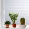 Mangobox Privacy Window Film, Non Adhesive White Strips Vinyl Glass