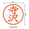 Shachihata Stamp Name 6 Correction Stamp XL - 6 Stamp