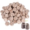 bssmmai 100 x Coconut Source Tablets with Mesh Growing Support