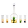 Tequila Aloe Decanter Set with Agave Plant - 750mL Bottle,