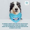 JT PET Dog Birthday Boy Party Pack with Bandana, Star