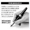 PLATINUM, penna stilografica con pennino sottile 1 Green