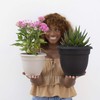 Bloem Ariana 10" Black Round Self-Watering Resin Planter Pot -
