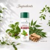 Biotique Basil and Red Sandal wood Body Talc 180gms by