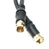 RiteAV 3 feet RG6 Coax Satellite/CATV Cable - Screw On