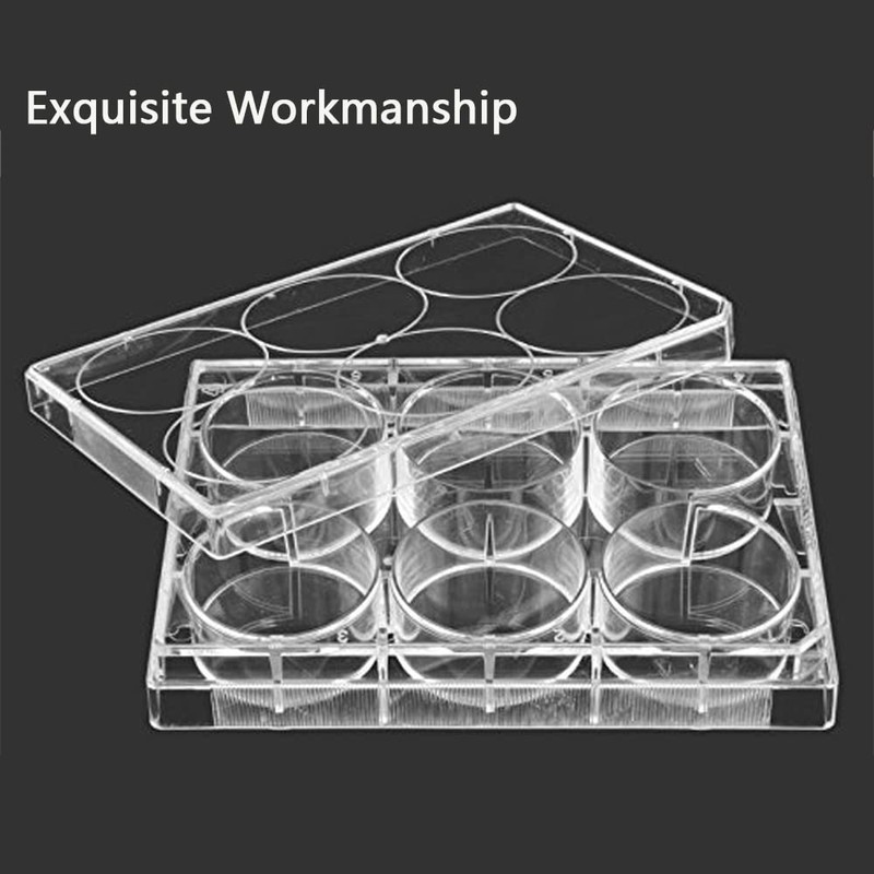 48 - Well Cell Culture Plate, Pack of 20