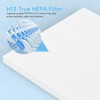 4 Pack HAP603 Replacement Filter Compatible with ECOSELF HAP603 /