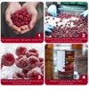 Freeze Dried Raspberries, Freeze Dried Fruit, 55G/1.94OZ