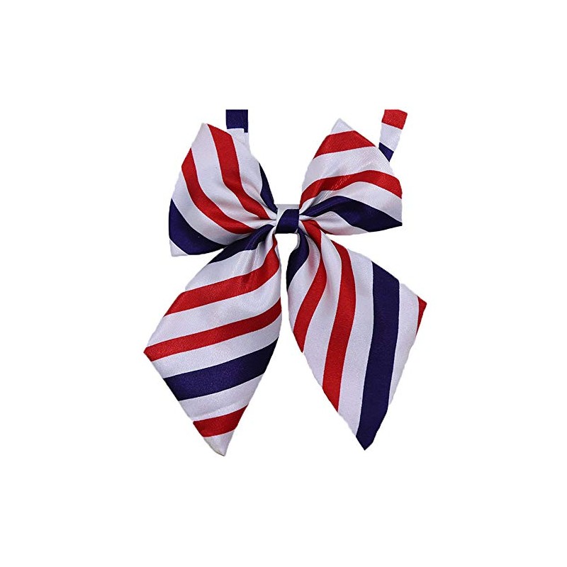 Flairs New York Women Handmade Pre-Tied Bowknot Bow Tie (Red/White/Blue