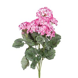 Vickerman FQ172903 Floral Geranium Bush