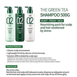 AMOS PROFESSIONAL Champú The Green Tea [Fresco - Para cuero cabelludo graso] 17.6oz (500g) | Champú antiadelgazamiento y anticaída de cabello para el crecimiento del cabello y limpia el exceso de sebo