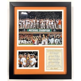 Tennessee Baseball | 2024 CWS National Champions | Framed Photo Collage | 2 Sizes | (12"x15")