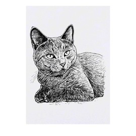 'Chartreux Shorthair Cat' Temporary Tattoo - Water Resistant, Skin-Safe, Non-Toxic Transfer (TO00075029)