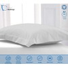 Comfort Beddings Premium Quality Pillowcovers 100% Cotton Blend Square Pillow