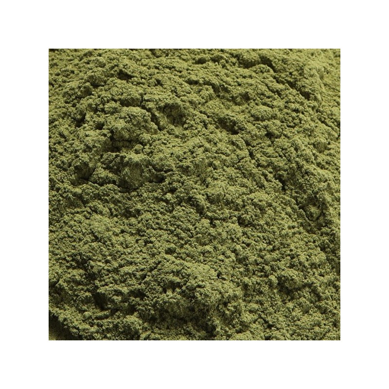 케이웰니스 국내산 꾸지뽕잎분말 200g K-Wellness Domestic Mulberry Leaf Powder 200g