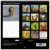 Happy Golden Retriever (Wall Calendar 2026 12" x 24" /