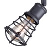CANARM ICW611A01GPH Otto 1 Light Ceiling/Wall Graphite with Metal Cage