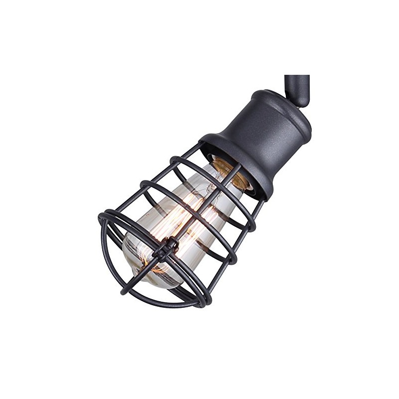 CANARM ICW611A01GPH Otto 1 Light Ceiling/Wall Graphite with Metal Cage