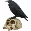 Ebros Gothic Raven Perching On Skull Statue 7.25" High Crow