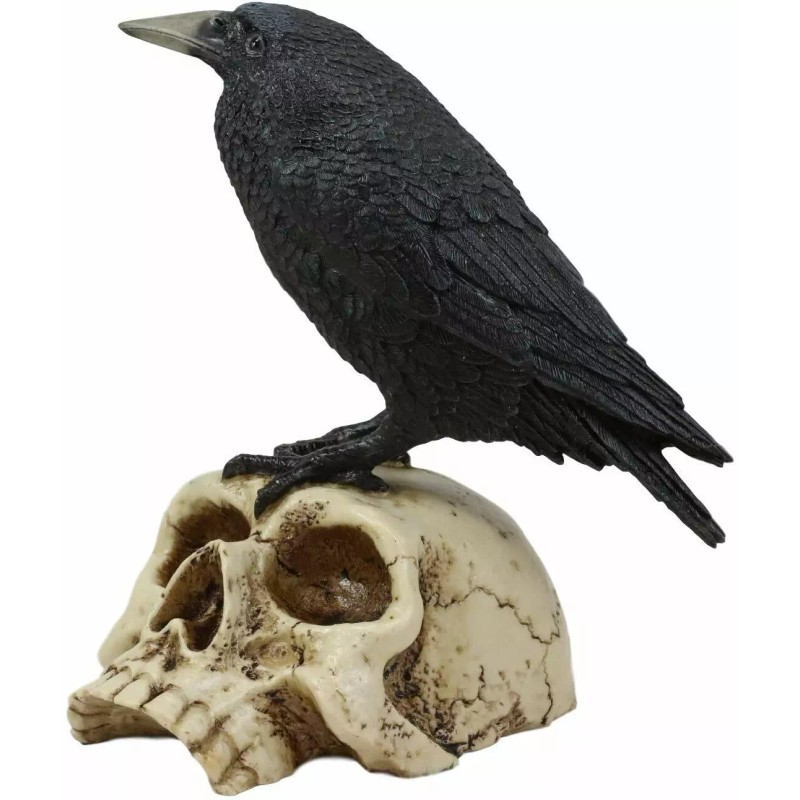 Ebros Gothic Raven Perching On Skull Statue 7.25" High Crow