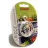 APOLLO Fridge Freezer Thermometer, Multi-Colour, 10x15x1.8