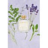 Lavanda Imperiale Eau de Cologne 100ml 6315964007400 / 라반다 임페리알레
