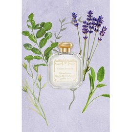 Lavanda Imperiale Eau de Cologne 100ml 6315964007400 / 라반다 임페리알레 오드코롱 100ml 6315964007400