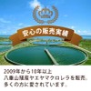 Yae Yayama Chlorella Yaesan Chlorella Yaesama Grains, Made in Ishigaki