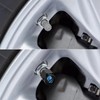 Muishi Rose Blue Flame Tire Valve Stem Caps, Aluminum Black