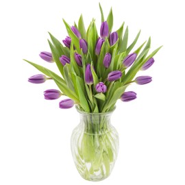 KaBloom PRIME NEXT DAY DELIVERY - 20 Purple Tulips with VaseDirect Fresh.Gift for Birthday, Sympathy, Anniversary, Get Well, Thank You, Valentine, Mother’s Day Fresh Flowers