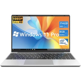 Gezoon 14.1 inch Windows 11 pro Laptop Computer, 8GB LPDDR4 RAM 512GB SSD, Intel Celeron N4020C CPU (Beat N4020/N4000), Thin & Portable Notebook PC, WiFi, USB 3.0, BT4.2,Full-Featured Type-C