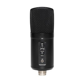 Stagg Double Condenser USB Microphone for PC Recording