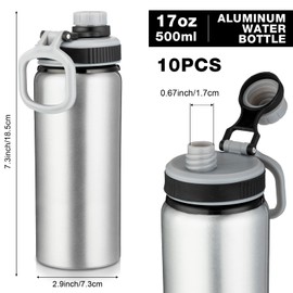 Sunnyray 10 Pcs Water Bottle Bulk 17 oz Aluminum Reusable Bottles with Spout Lid Lightweight Leak Proof Travel Bottles Portable Bike Water Bottle for Gym Sports Camping Hiking Fishing(Silver)
