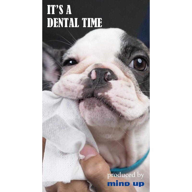 Mindup Dog Mouth Care Toothpaste Wet Sheet, Pack of 30