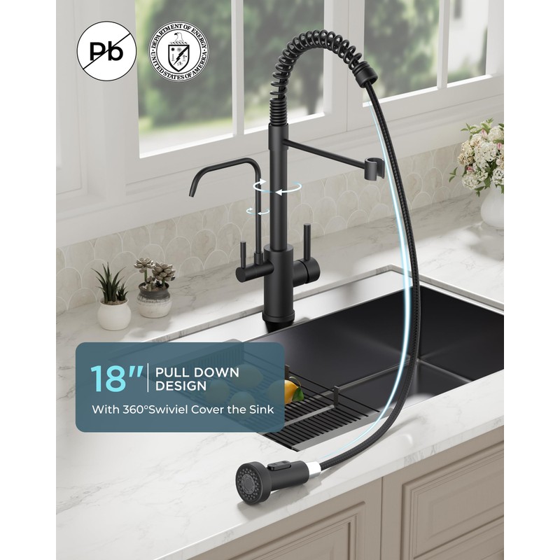 FORIOUS Black Kitchen Faucet with Purfied Water Filter, 2 in