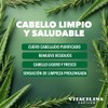 Vitacilina Capilar Shampoo Purificante │ Retinol + Sábila + Romero