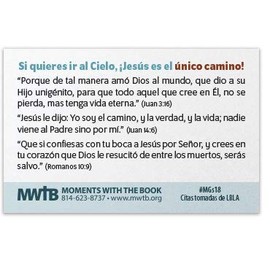 Jesus Is The One Way (Mini Gospel Tract Card - Packet of 100 - Spanish)